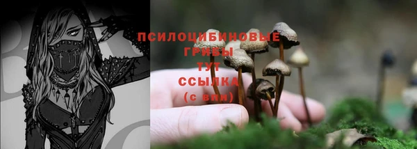 бутират Верхний Тагил