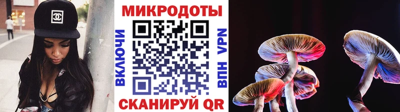 Галлюциногенные грибы Psilocybe Питкяранта